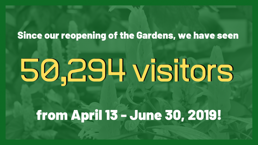 07.03.19 50,294 Visitors